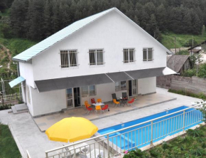 Dilijan Duplex